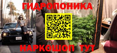 трава Гудермес