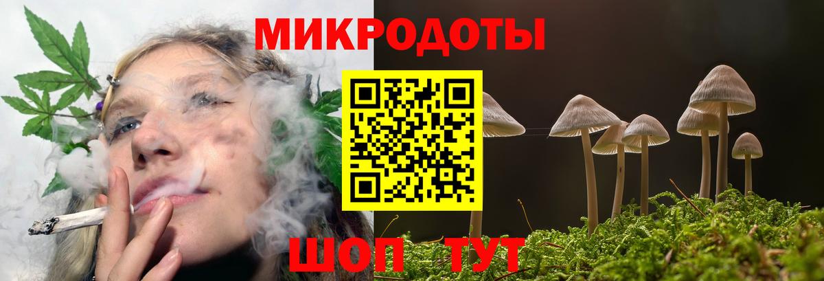 Псилоцибиновые грибы Magic Shrooms  Вход с VPN  Шебекино 